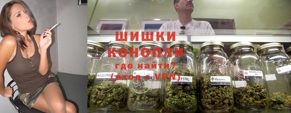 PSILOCYBIN Усинск